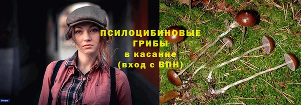 ECSTASY Армянск