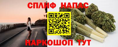 дмт Пенза