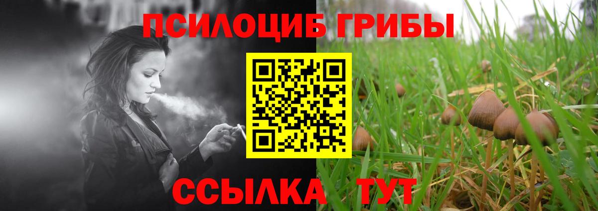 Сегежа  Галлюциногенные грибы MAGIC MUSHROOMS  Вход с VPN 